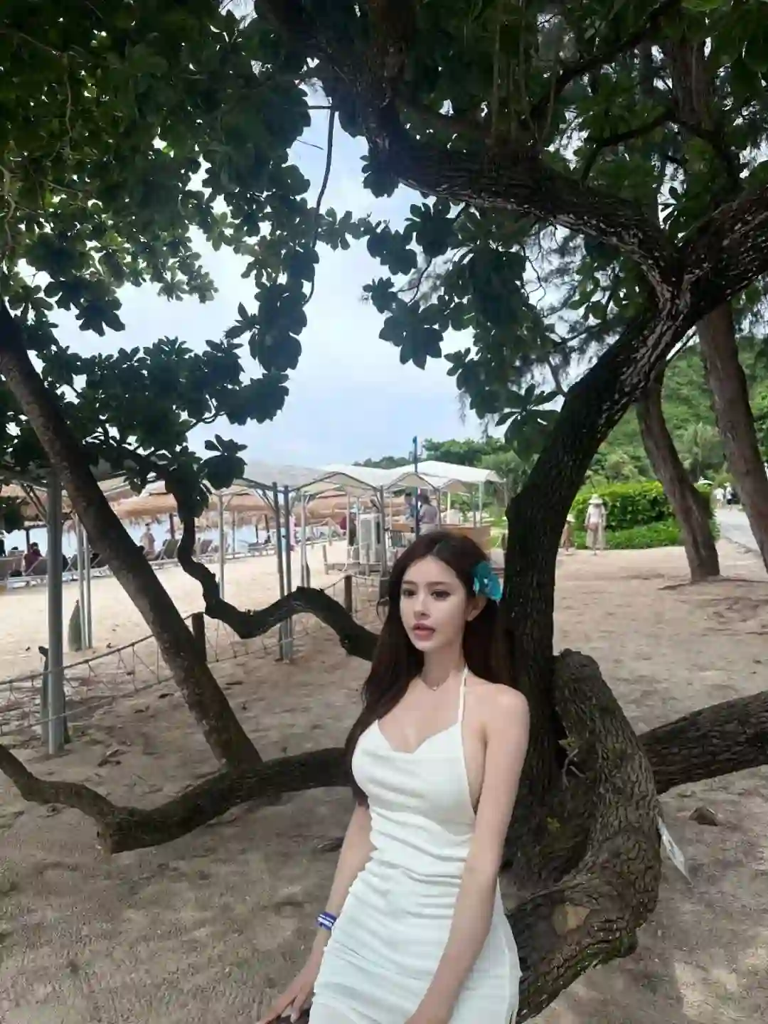 写真美图 | 随心，随缘，随意