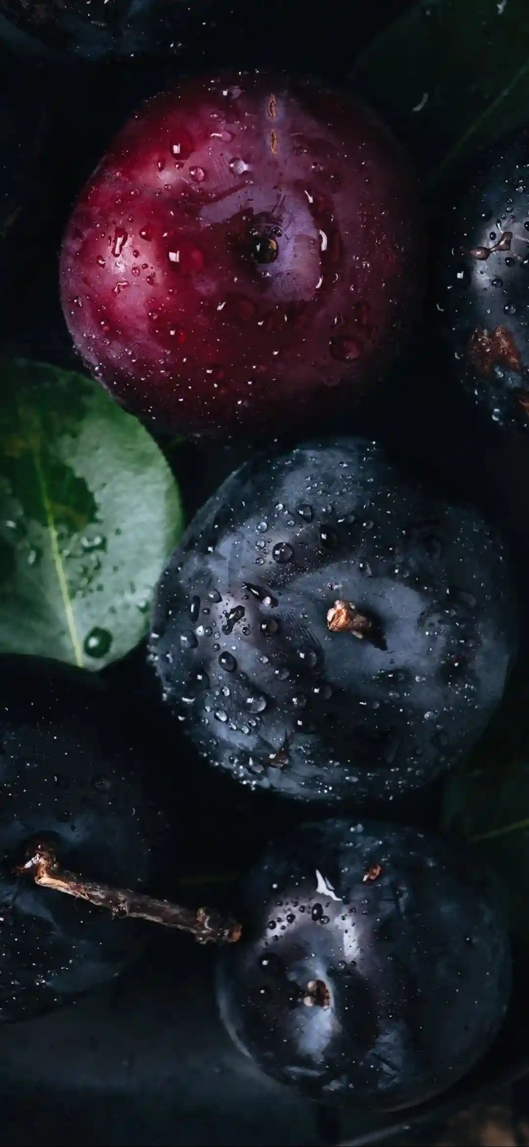 壁纸 | 手机高清唯美壁纸