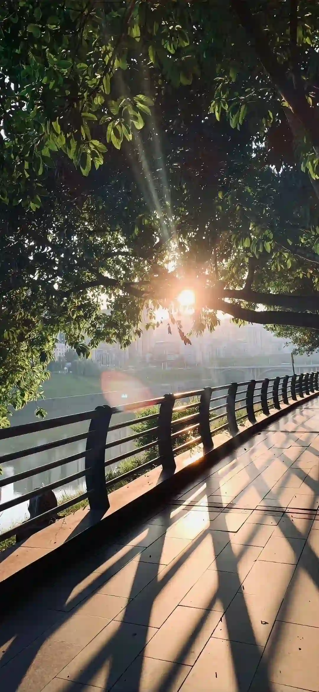 壁纸 | 手机高清唯美壁纸