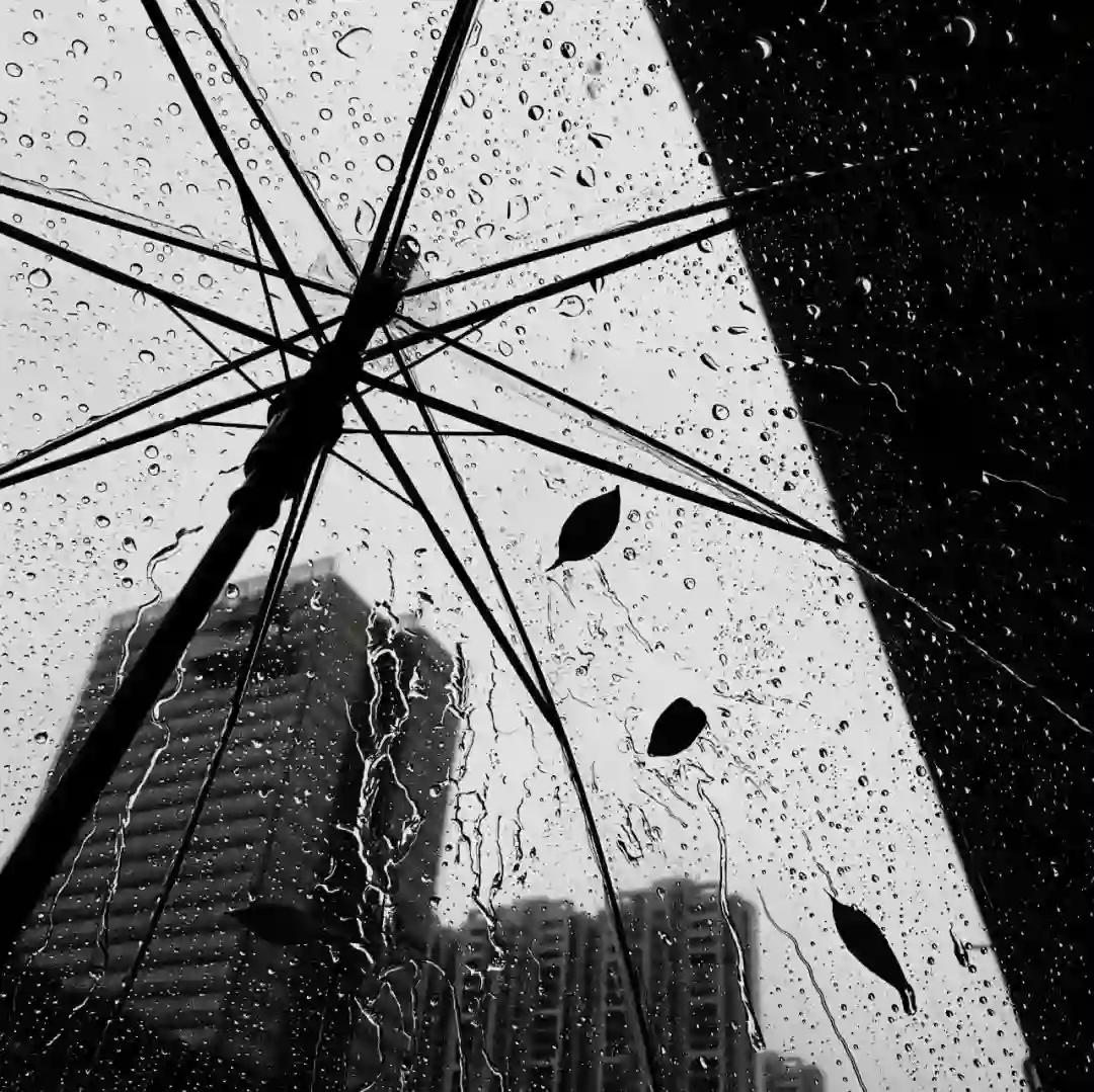 𝐒𝐇𝐀𝐑𝐄 | 𝑾𝒆𝑪𝒉𝒂𝒕背景图