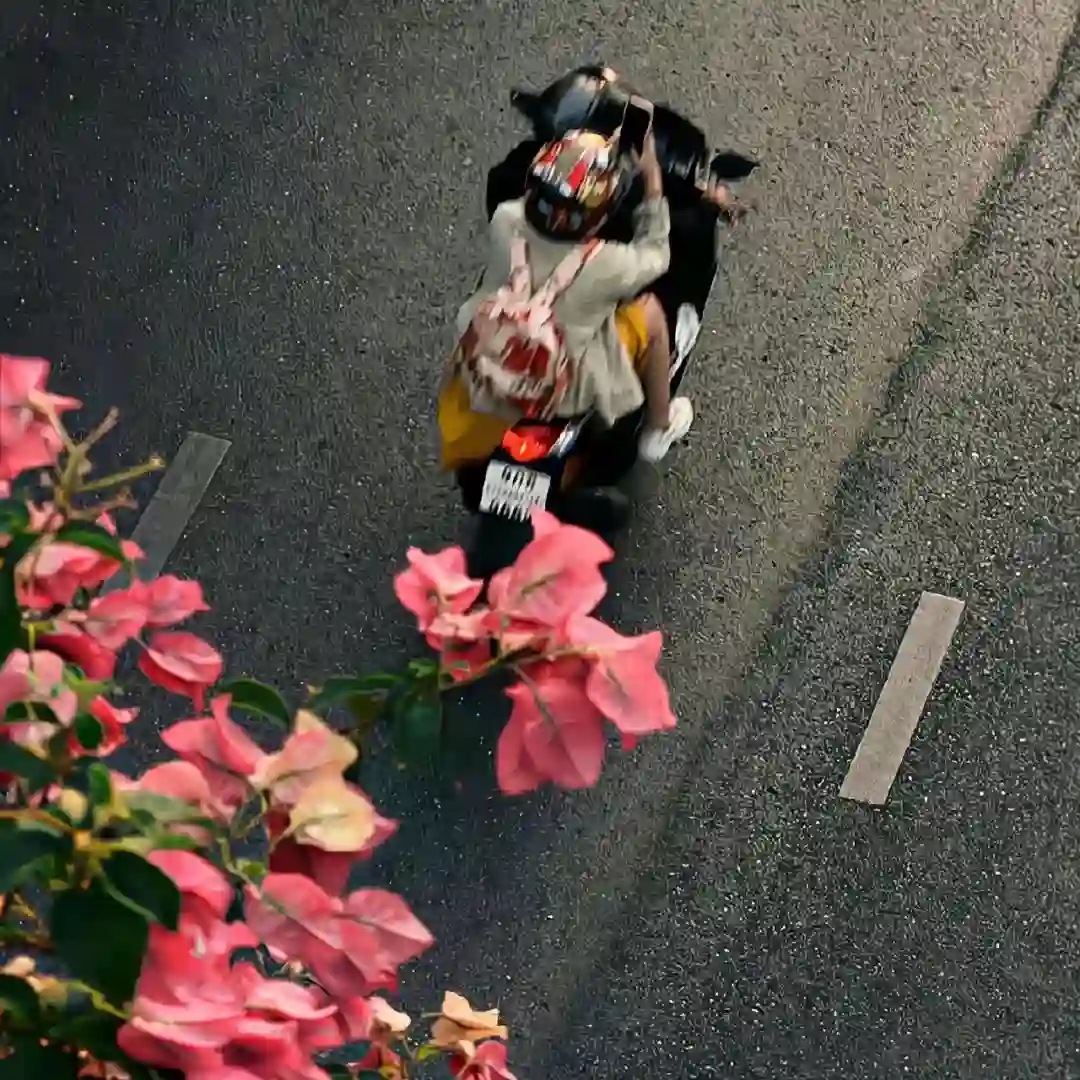 背景图 |  𝑾𝒆𝑪𝒉𝒂𝒕背景图