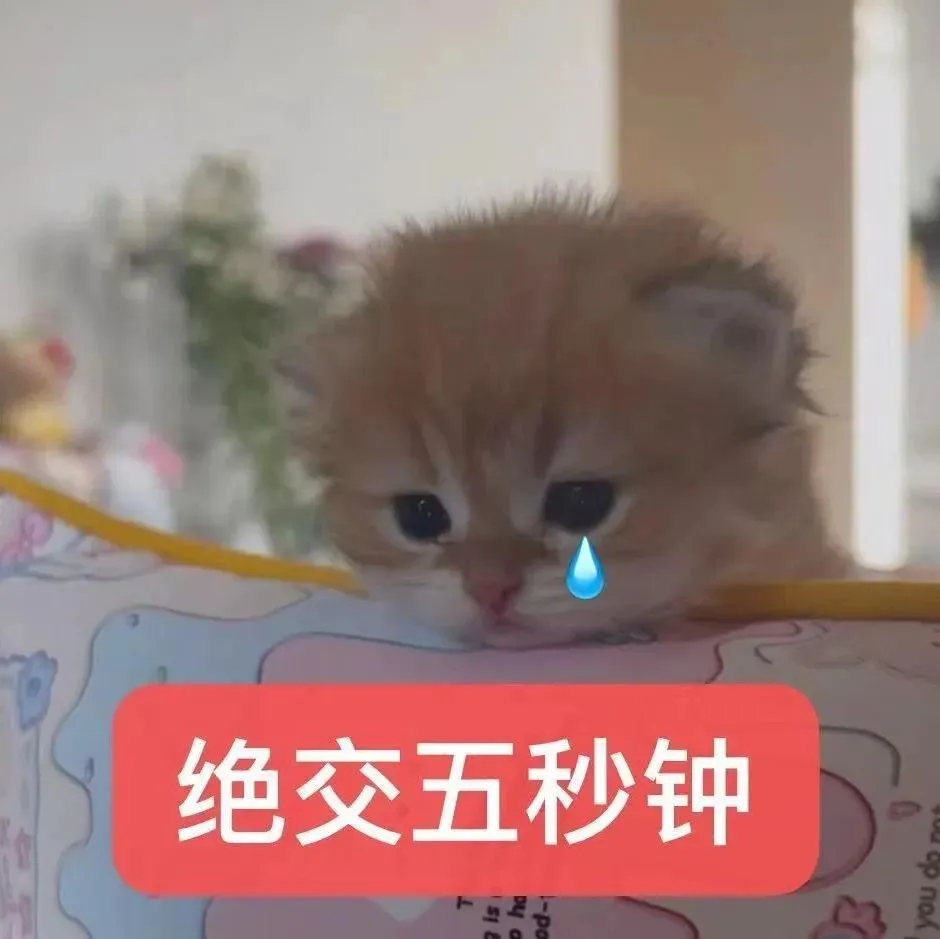 表情包丨猫猫表情包大合集