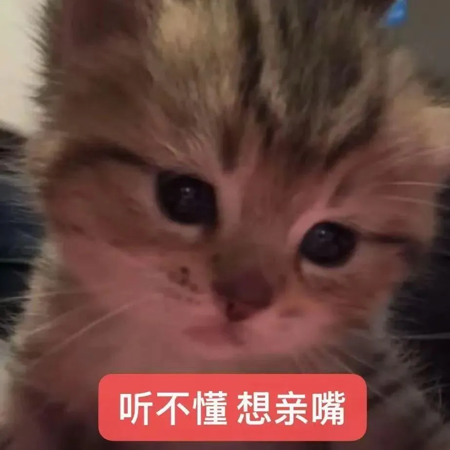 表情包丨猫猫表情包大合集