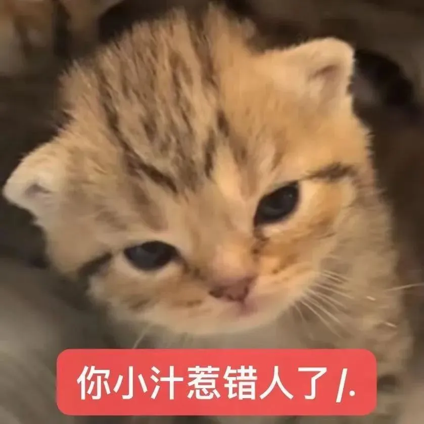 表情包丨猫猫表情包大合集