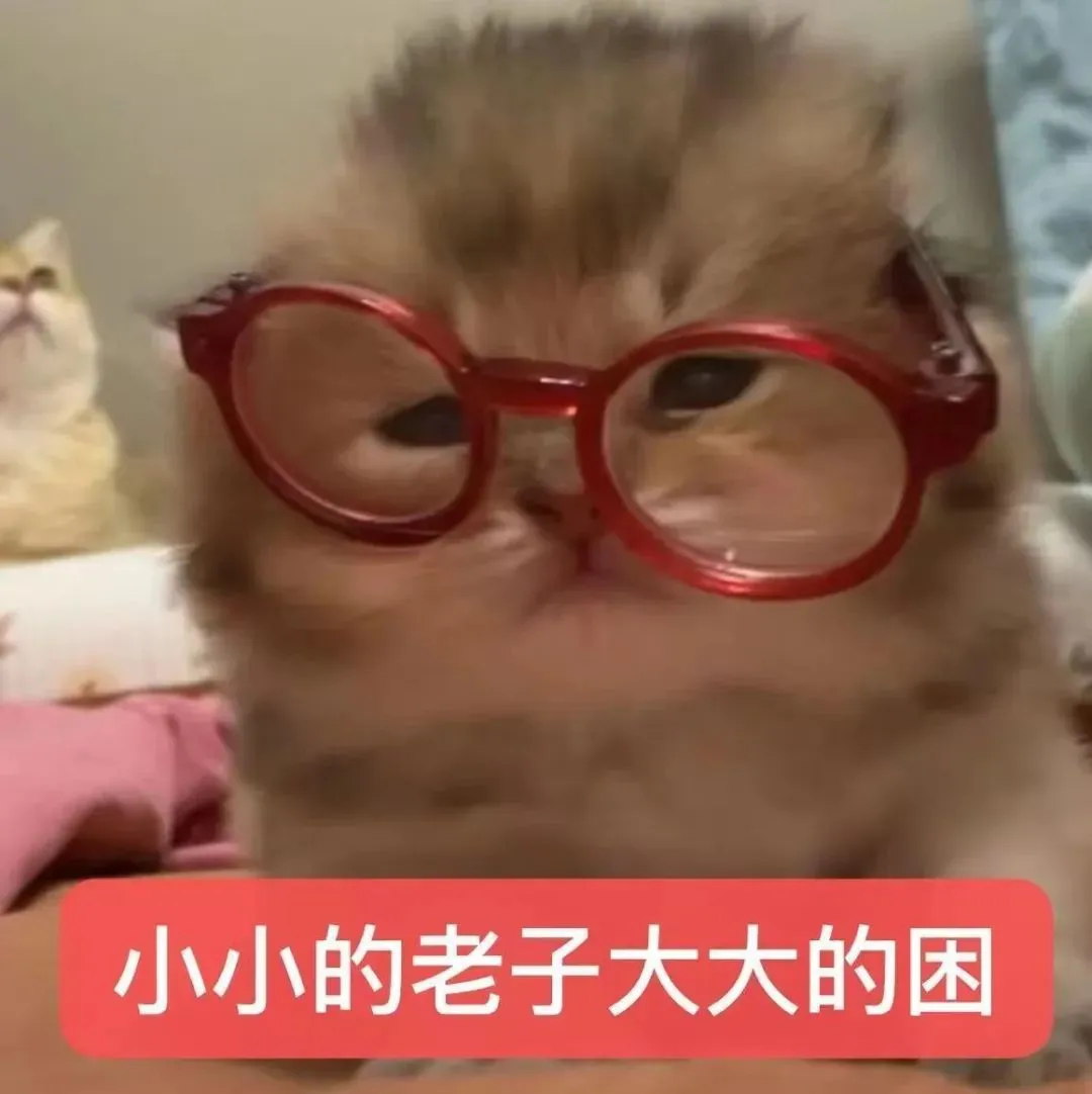 表情包丨猫猫表情包大合集