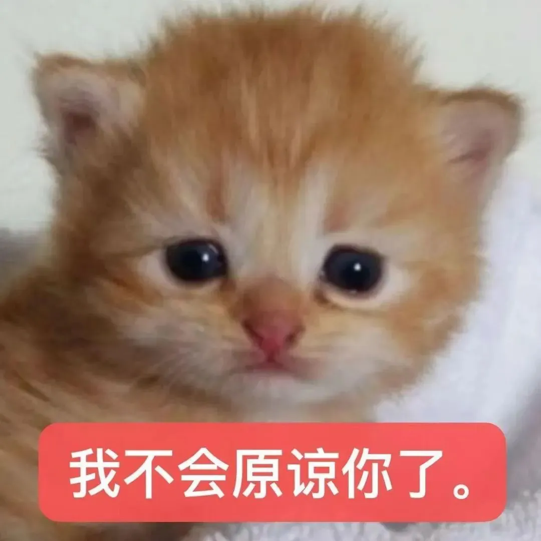 表情包丨猫猫表情包大合集