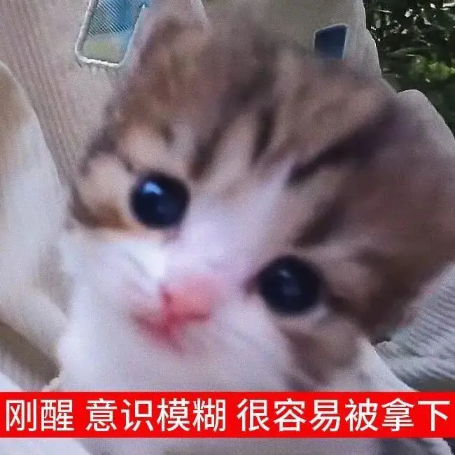 表情包丨猫猫表情包大合集