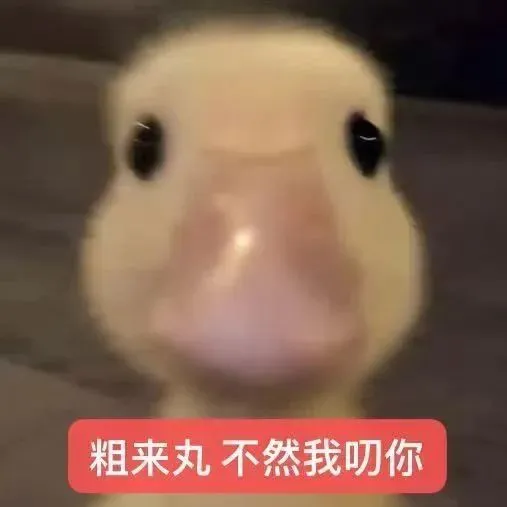 表情包丨猫猫表情包大合集