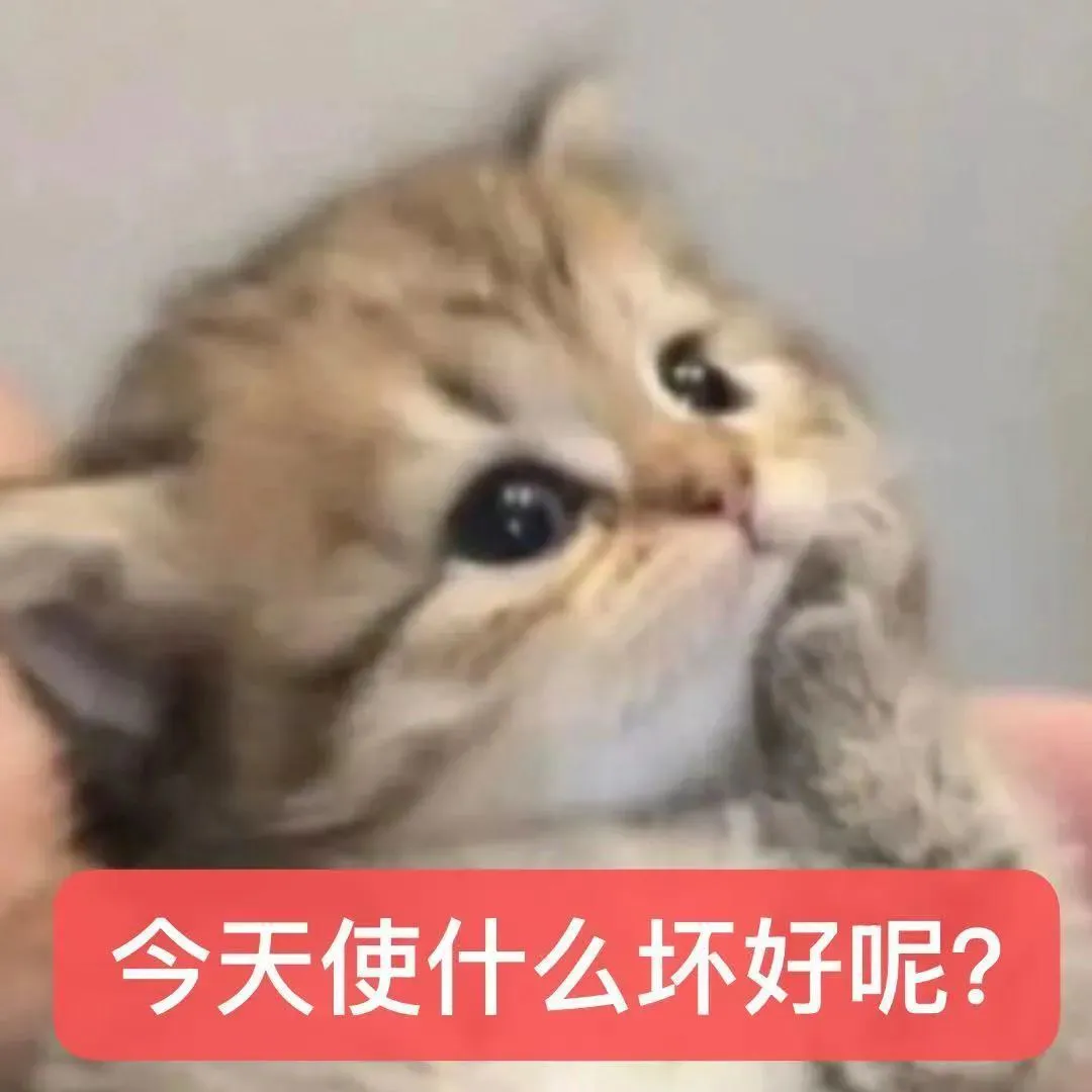 表情包丨猫猫表情包大合集