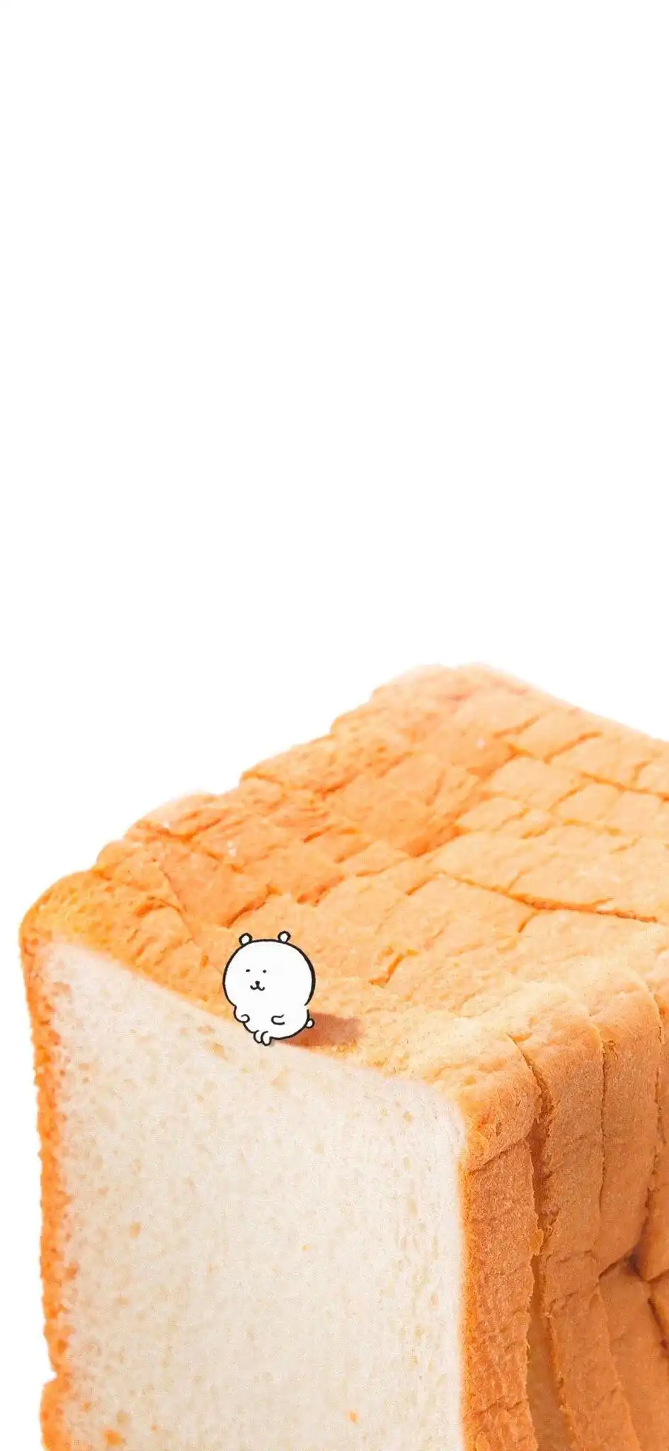 壁纸 ​​​​​​​​​​​​​| 𝐖𝐚𝐥𝐥𝐩𝐚𝐩𝐞𝐫全屏壁纸