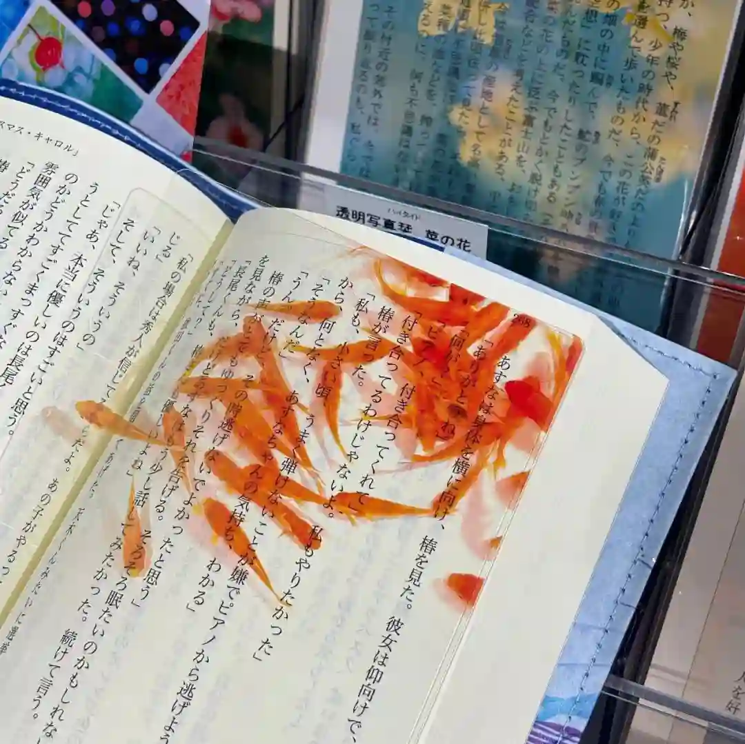 背景图 |  𝑾𝒆𝑪𝒉𝒂𝒕背景图