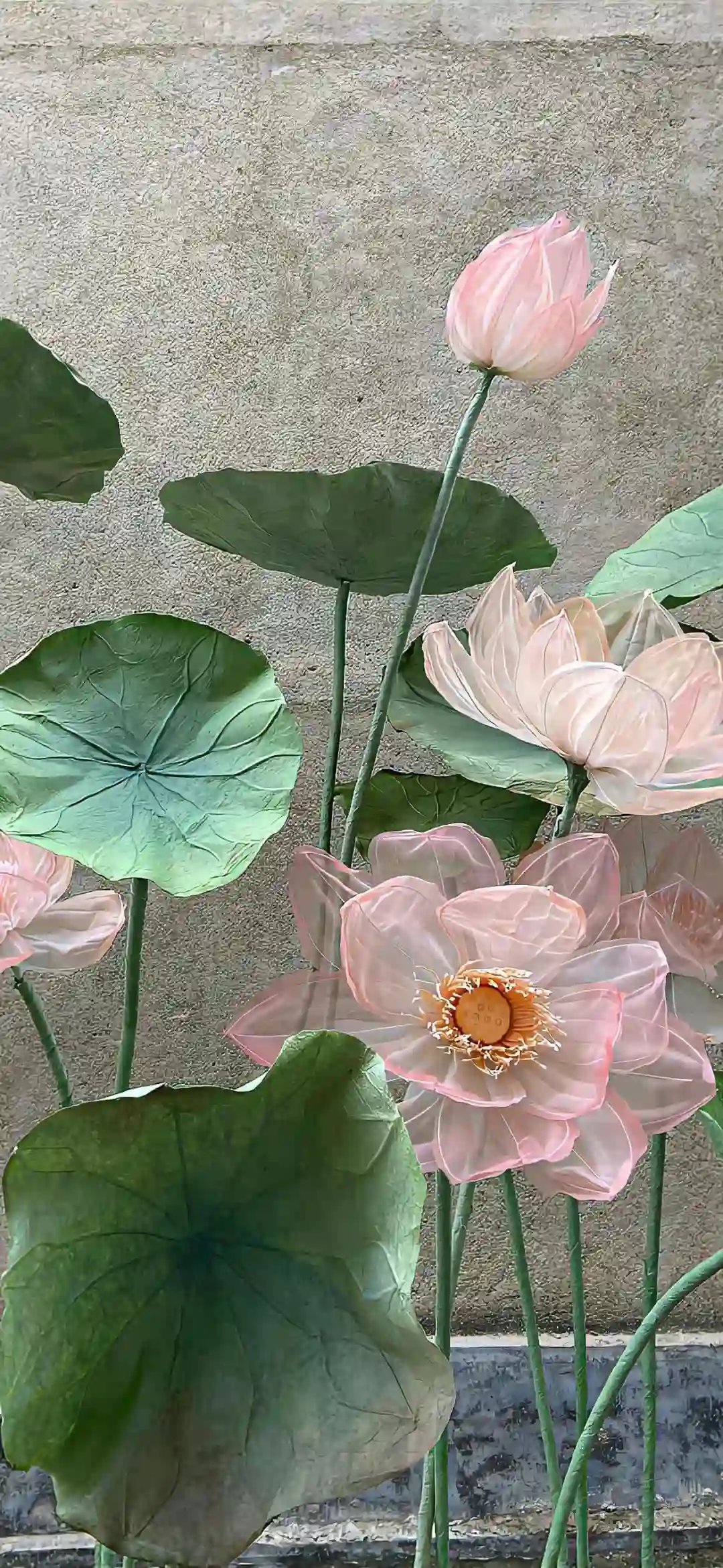 壁纸 ​​​​​​​​​​​​​| 𝐖𝐚𝐥𝐥𝐩𝐚𝐩𝐞𝐫全屏壁纸