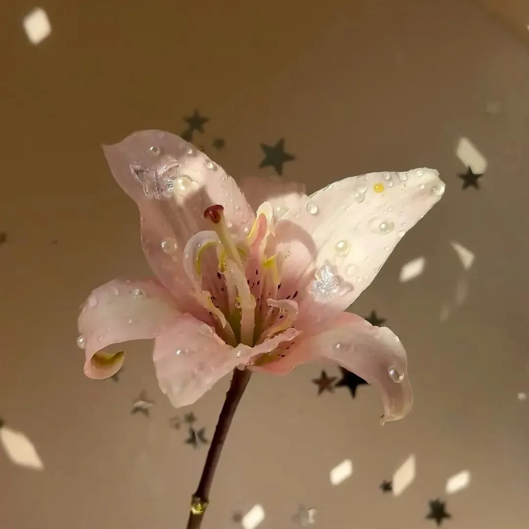 背景图 |  𝑾𝒆𝑪𝒉𝒂𝒕背景图