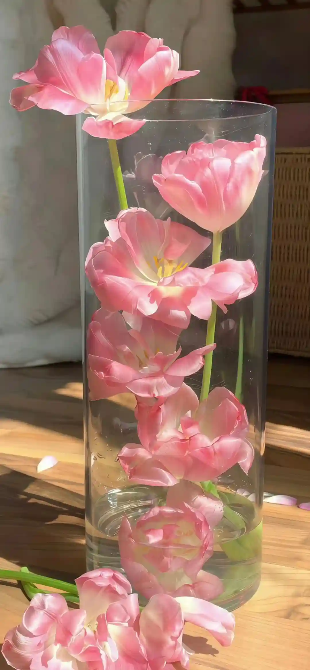 壁纸 ​​​​​​​​​​​​​| 𝐖𝐚𝐥𝐥𝐩𝐚𝐩𝐞𝐫全屏壁纸
