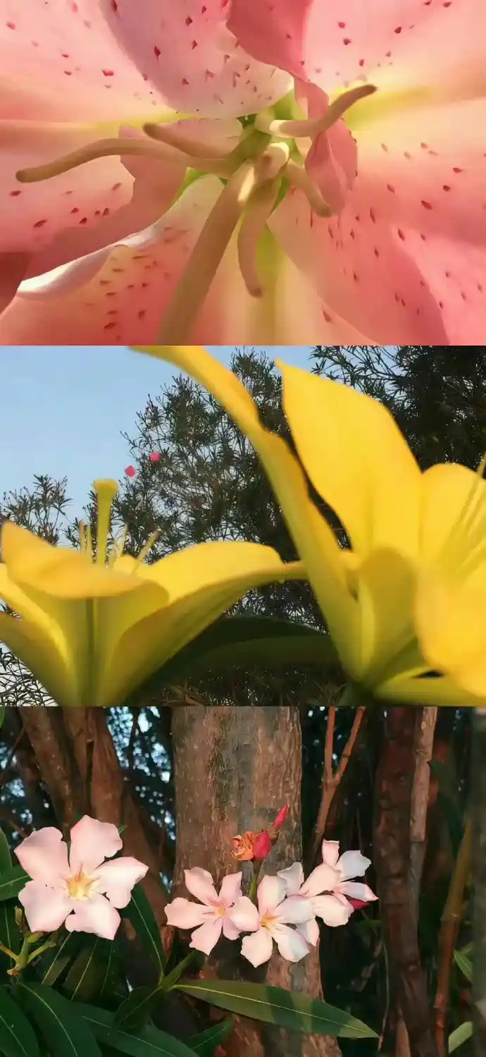 壁纸 ​​​​​​​​​​​​​| 𝐖𝐚𝐥𝐥𝐩𝐚𝐩𝐞𝐫全屏壁纸