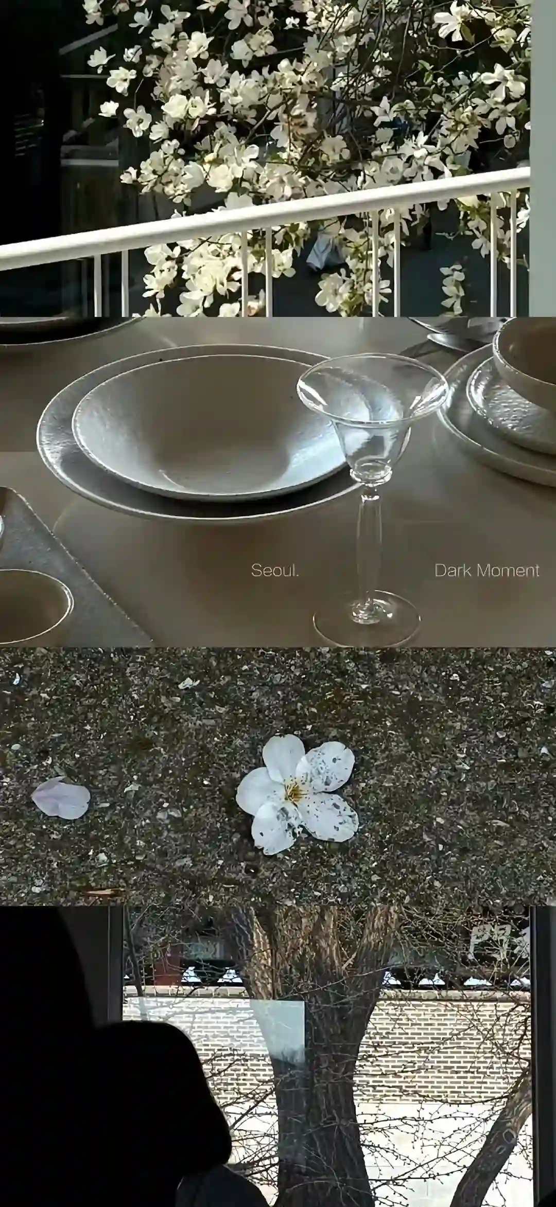 壁纸 ​​​​​​​​​​​​​| 𝐖𝐚𝐥𝐥𝐩𝐚𝐩𝐞𝐫全屏壁纸