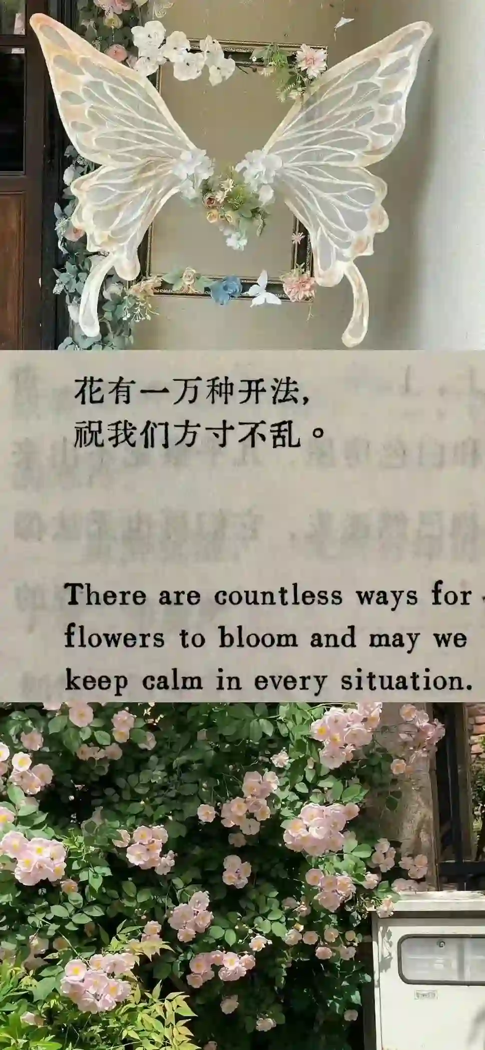 壁纸 ​​​​​​​​​​​​​| 𝐖𝐚𝐥𝐥𝐩𝐚𝐩𝐞𝐫全屏壁纸