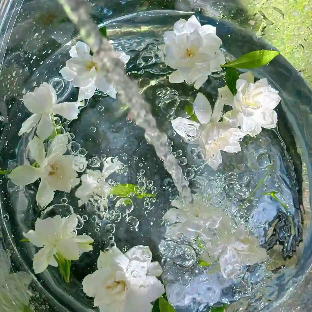 背景图 |  𝑾𝒆𝑪𝒉𝒂𝒕背景图