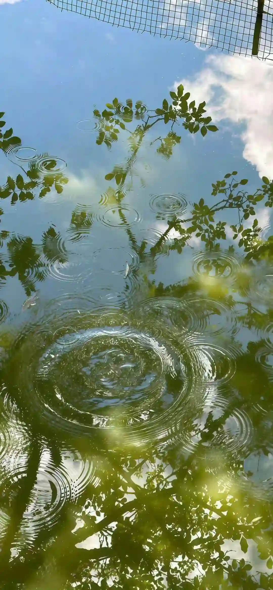 壁纸 ​​​​​​​​​​​​​| 𝐖𝐚𝐥𝐥𝐩𝐚𝐩𝐞𝐫全屏壁纸
