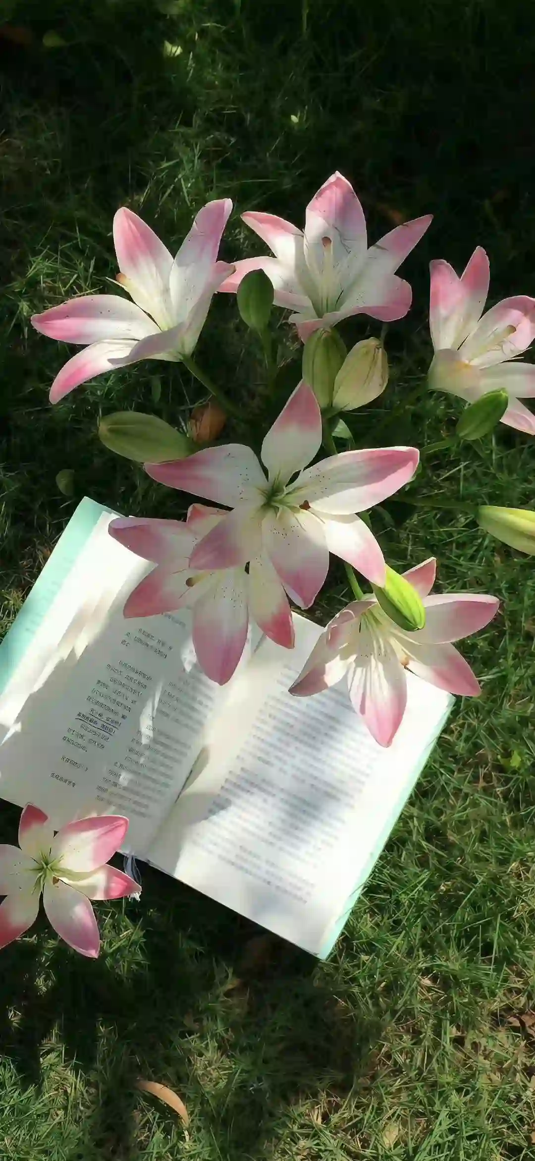 壁纸 ​​​​​​​​​​​​​| 𝐖𝐚𝐥𝐥𝐩𝐚𝐩𝐞𝐫全屏壁纸