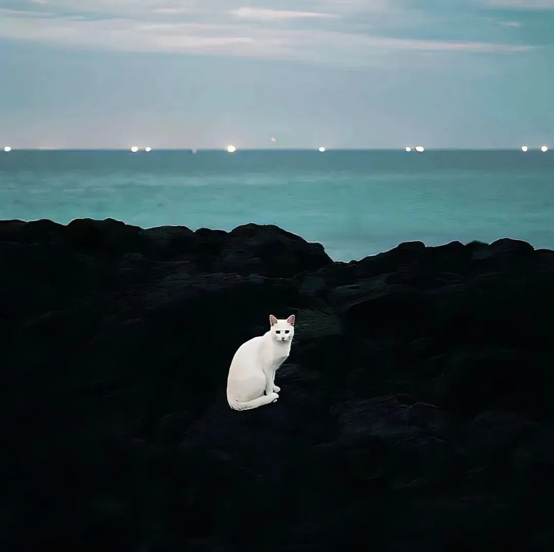 背景图 | 𝑾𝒆𝑪𝒉𝒂𝒕背景图🦋