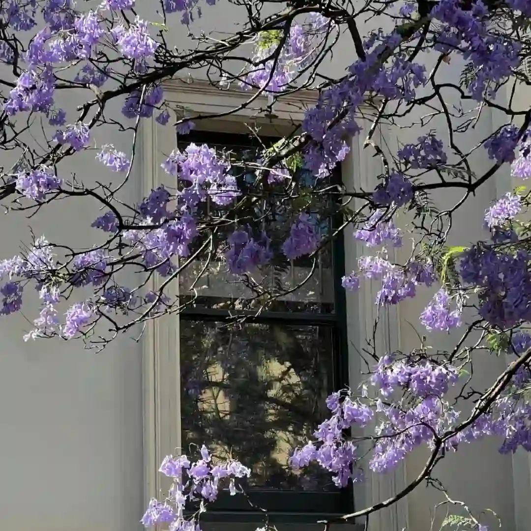 背景图 | 𝑾𝒆𝑪𝒉𝒂𝒕背景图🦋