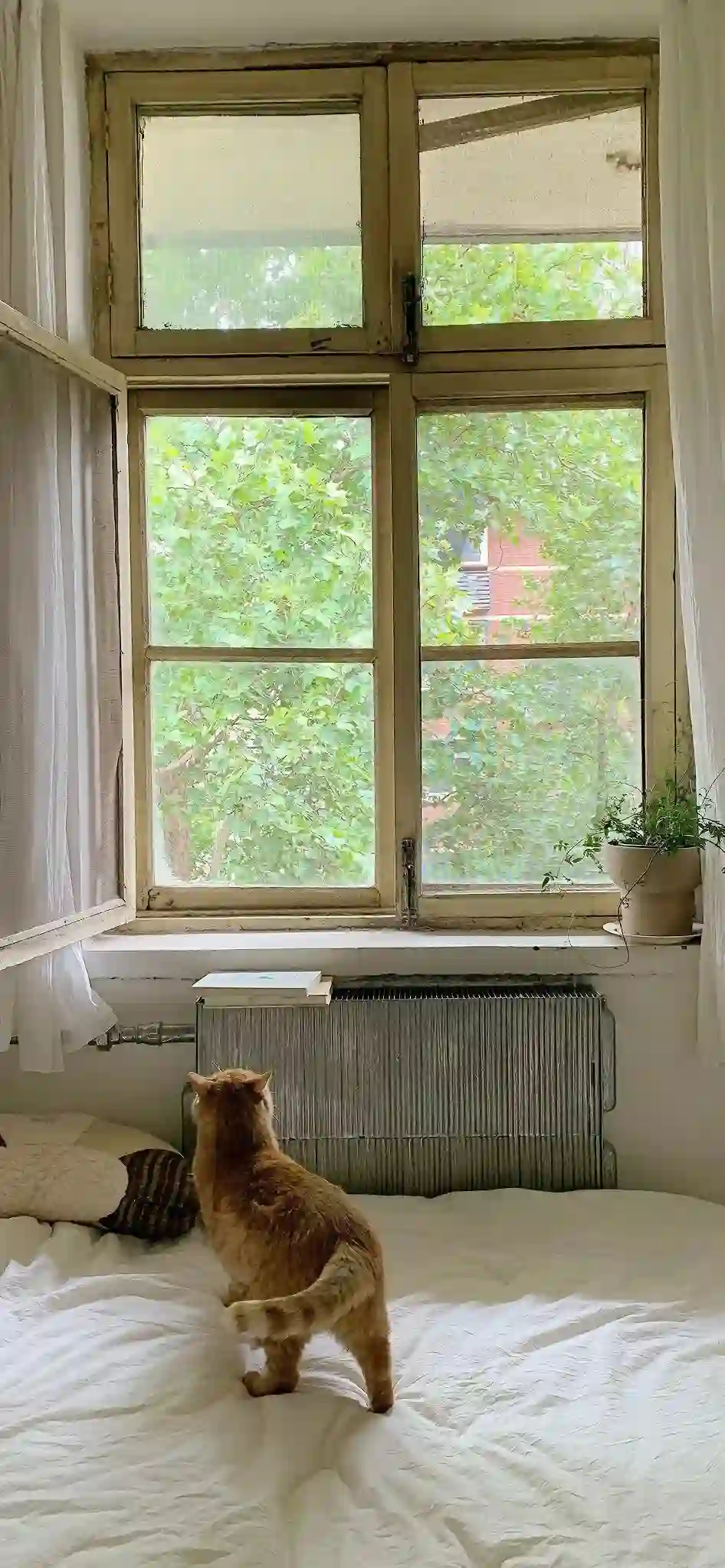 壁纸 ​​​​​​​​​​​​​| 𝐖𝐚𝐥𝐥𝐩𝐚𝐩𝐞𝐫全屏壁纸
