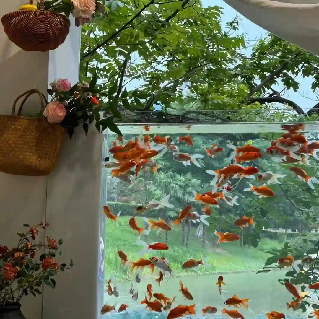背景图 | 𝑾𝒆𝑪𝒉𝒂𝒕背景图