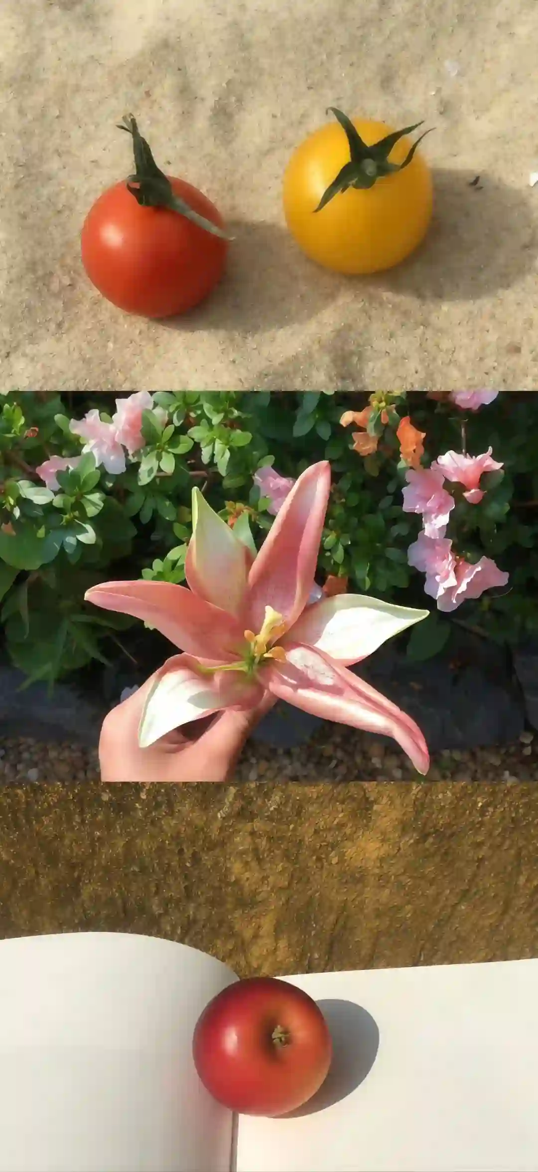 壁纸 ​​​​​​​​​​​​​| 𝐖𝐚𝐥𝐥𝐩𝐚𝐩𝐞𝐫全屏壁纸