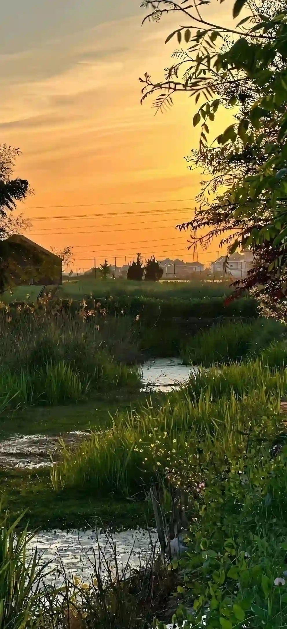 壁纸 ​​​​​​​​​​​​​| 𝐖𝐚𝐥𝐥𝐩𝐚𝐩𝐞𝐫全屏壁纸