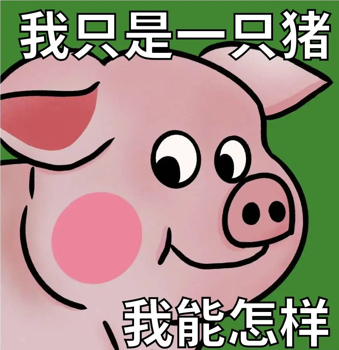头像｜一天换八百次（40张）