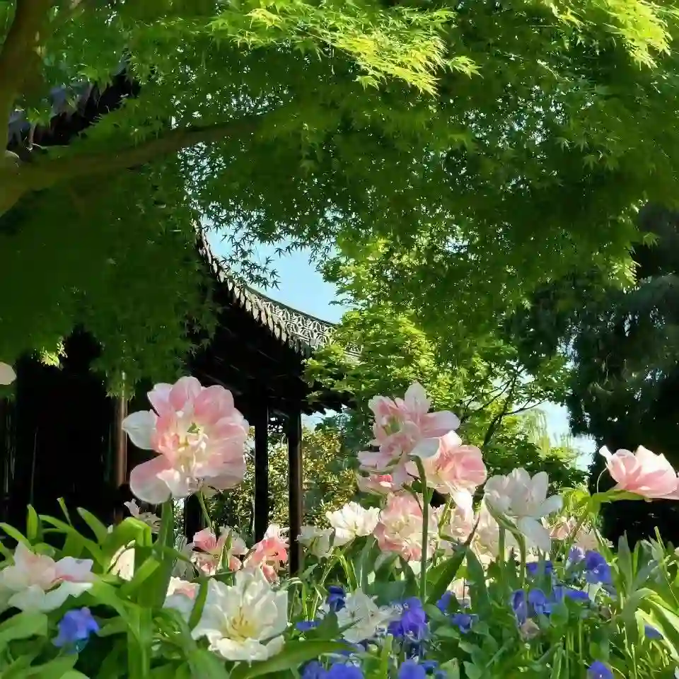 背景图 | 𝑾𝒆𝑪𝒉𝒂𝒕背景图