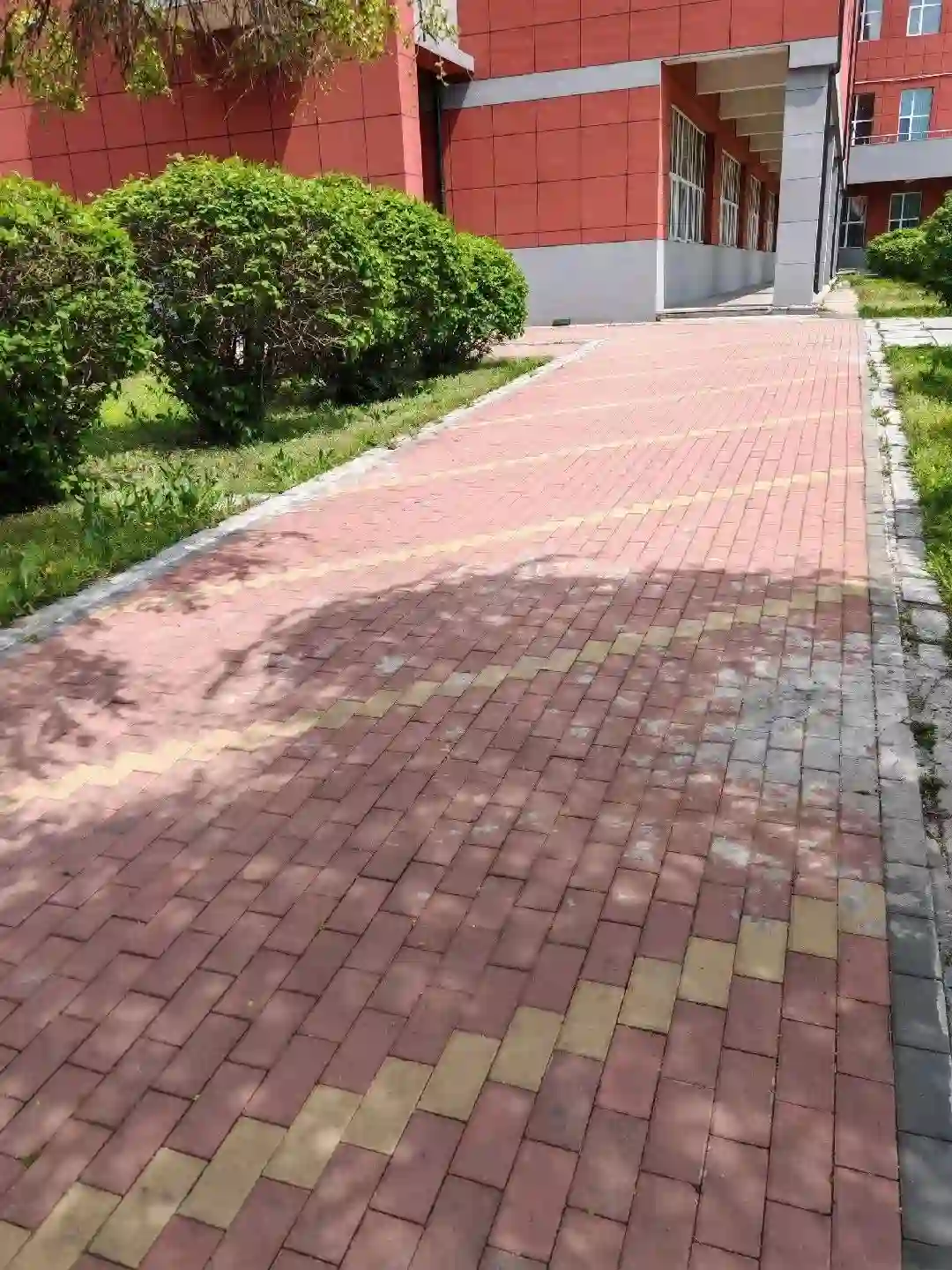 图片 | “应付查岗的专用图片”