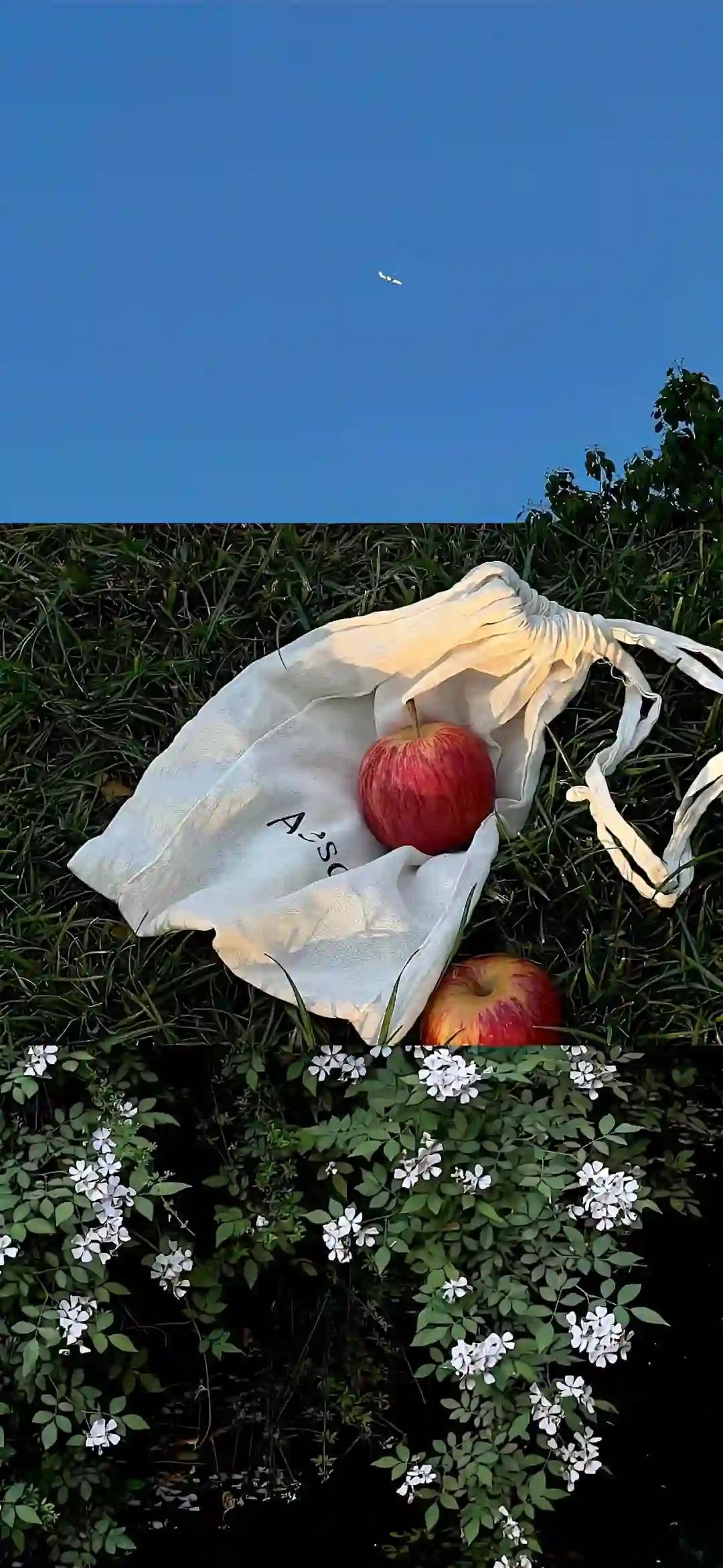 壁纸 ​​​​​​​​​​​​​| 𝐖𝐚𝐥𝐥𝐩𝐚𝐩𝐞𝐫全屏壁纸 ​​​