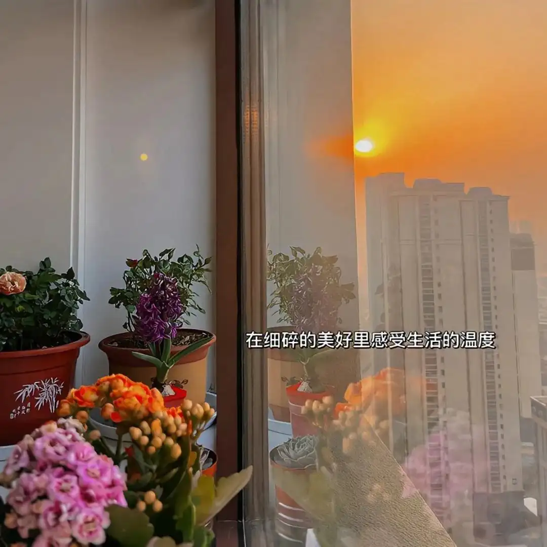 背景图 | 朋友圈背景图