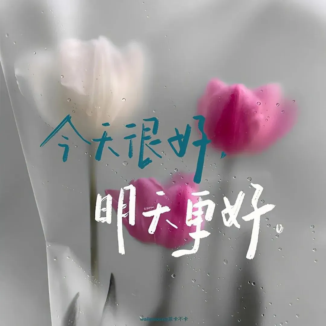 背景图 | 朋友圈背景图