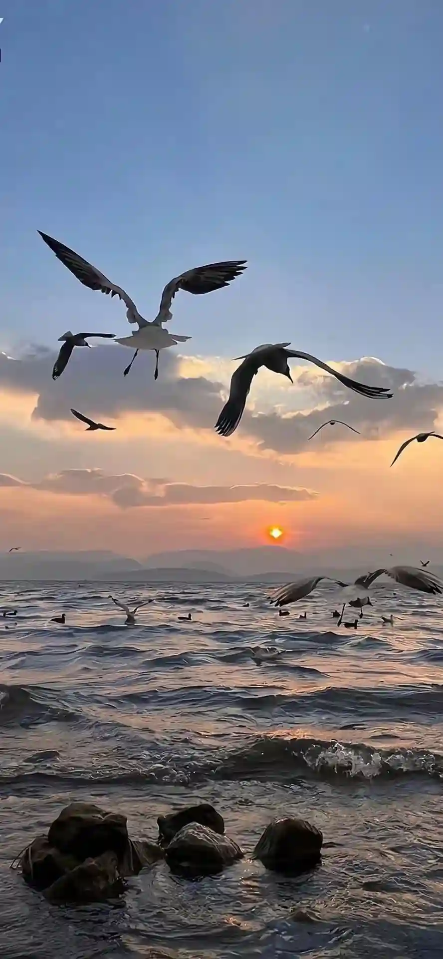 壁纸 | 手机高清壁纸图片