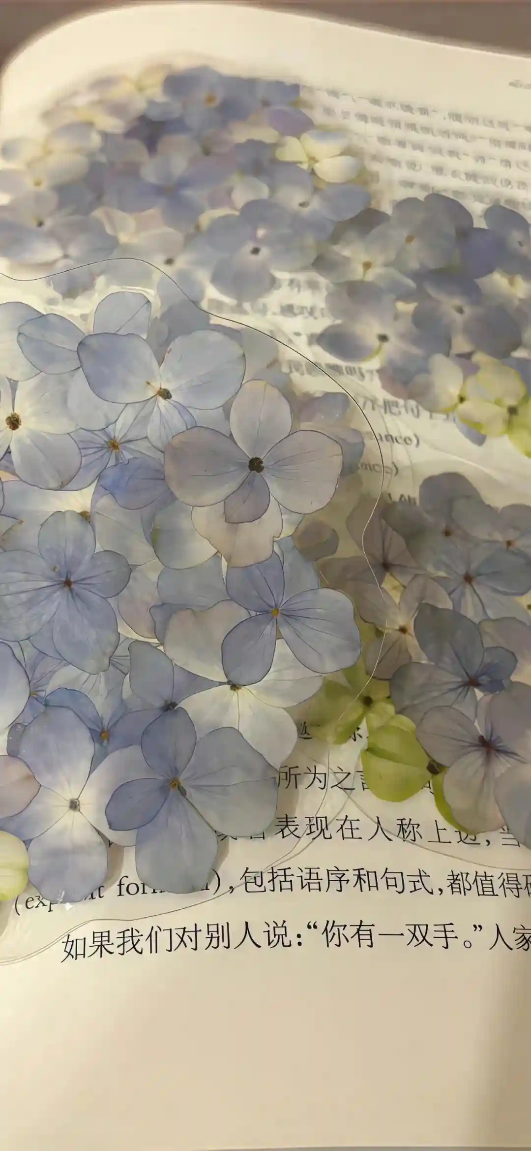 壁纸 ​​​​​​​​​​​​​| 𝐖𝐚𝐥𝐥𝐩𝐚𝐩𝐞𝐫全屏壁纸 ​​​
