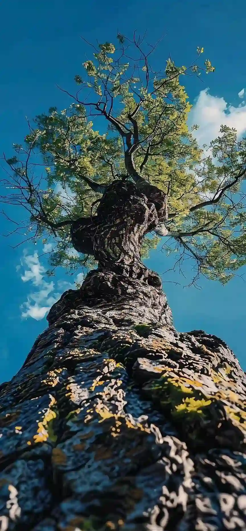 壁纸 | 手机高清壁纸