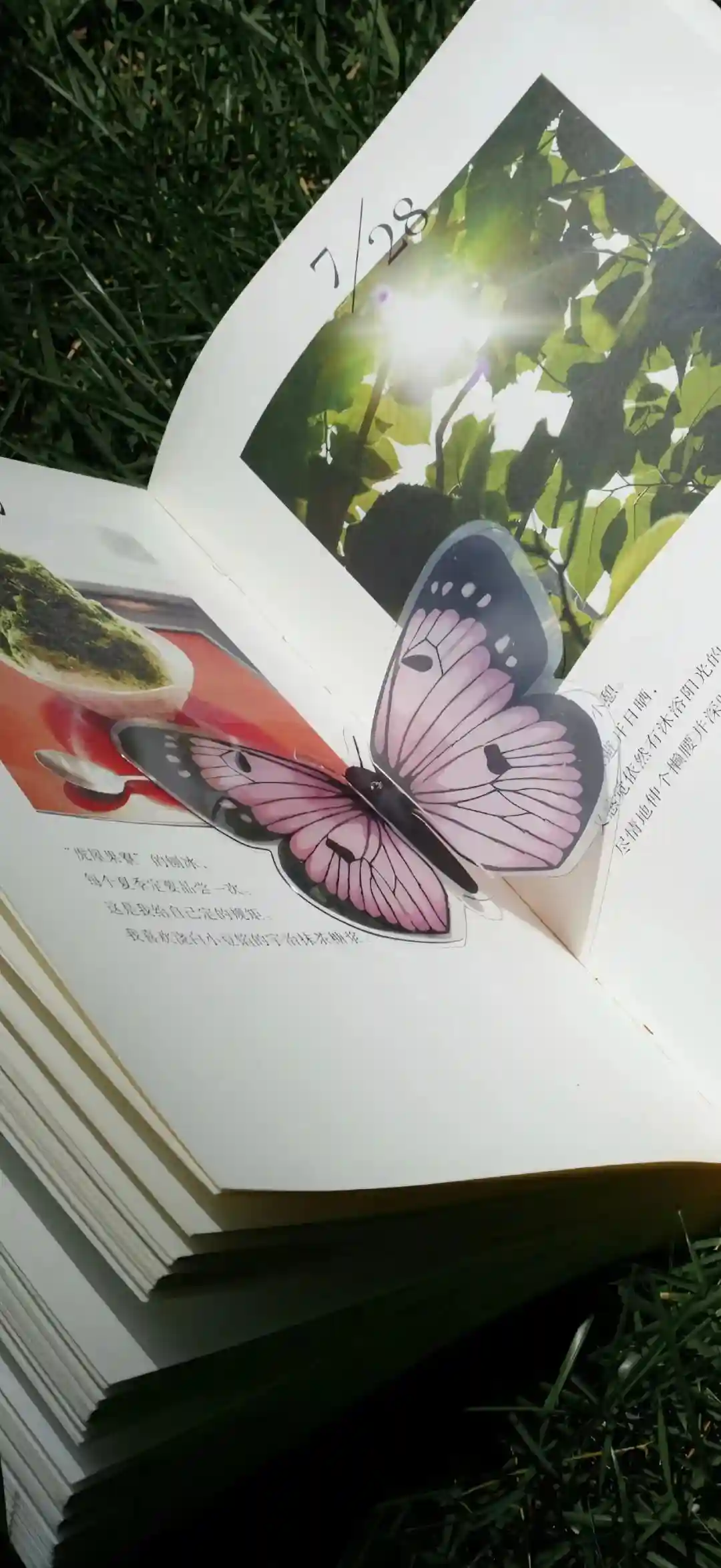 壁纸 ​​​​​​​​​​​​​| 𝐖𝐚𝐥𝐥𝐩𝐚𝐩𝐞𝐫全屏壁纸