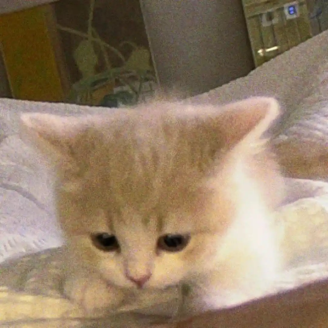 头像｜𝙒𝙚𝘾𝙝𝙖𝙩头像 可直接保存