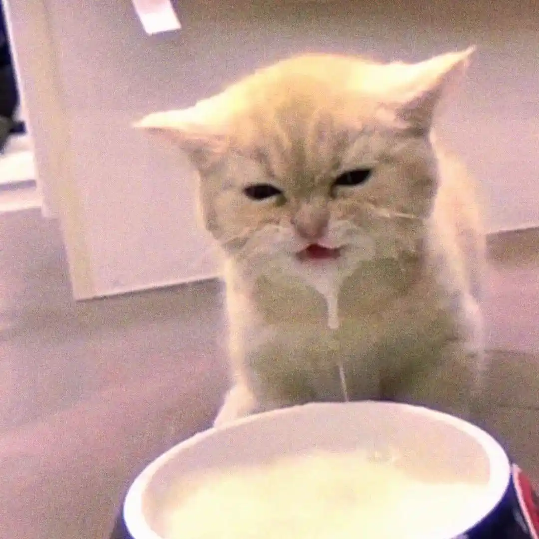 头像丨模糊小猫头像