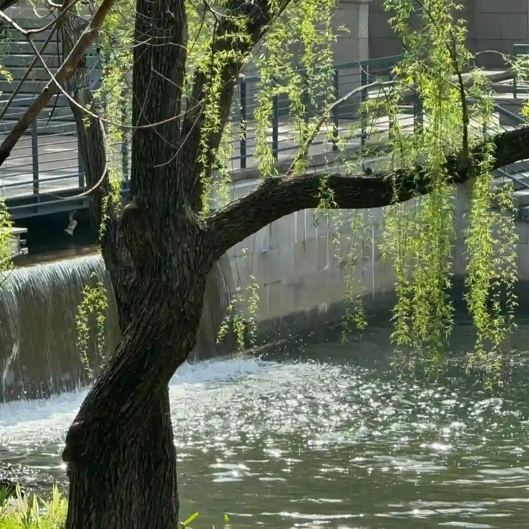 背景图 | 𝑾𝒆𝑪𝒉𝒂𝒕背景图