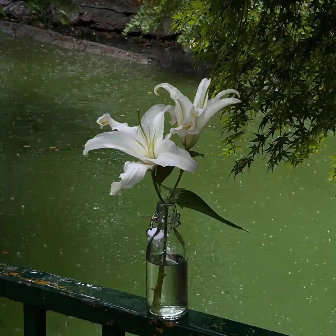 背景图 | 𝑾𝒆𝑪𝒉𝒂𝒕背景图