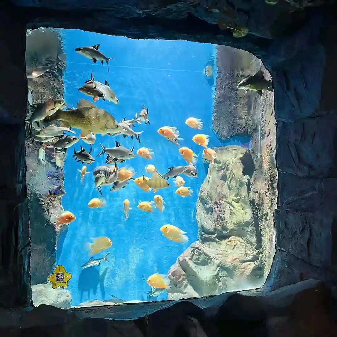 背景图 | 𝑾𝒆𝑪𝒉𝒂𝒕背景图