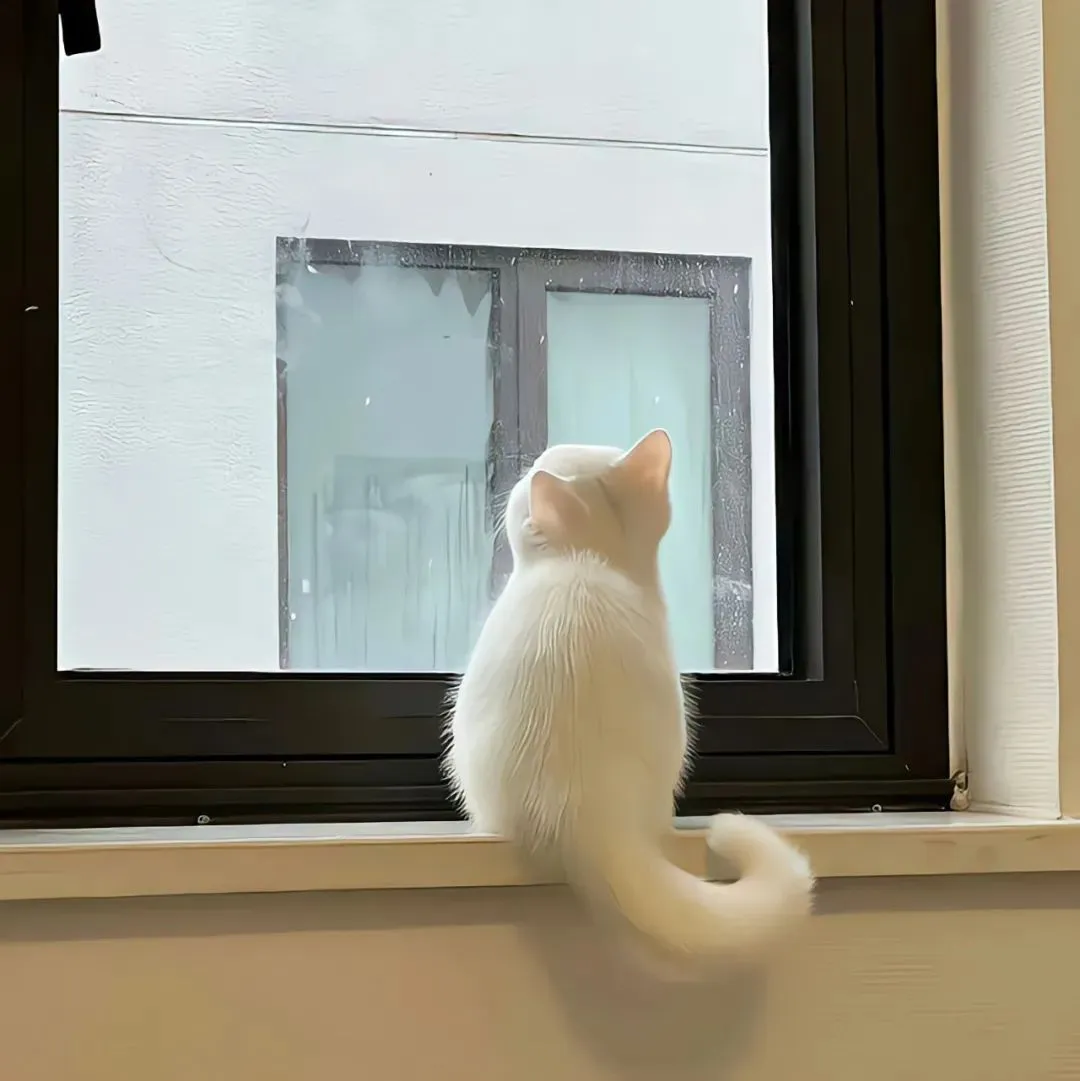 背景图 | 𝑾𝒆𝑪𝒉𝒂𝒕背景图