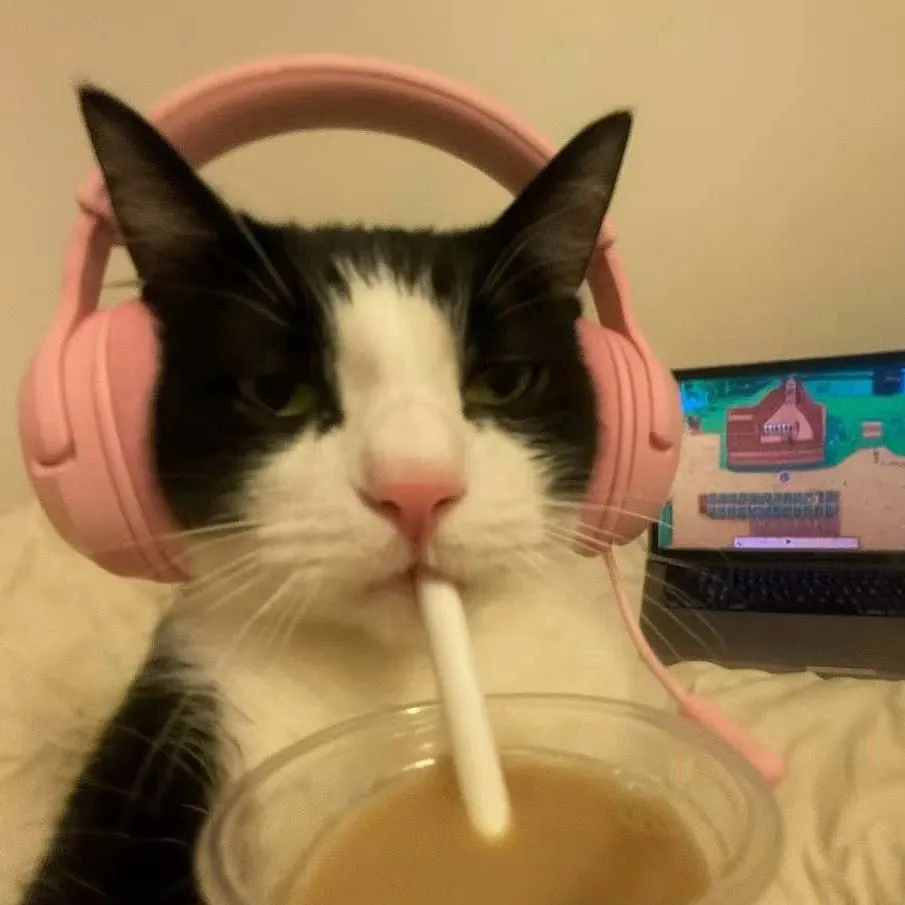 情头｜电竞小猫头像