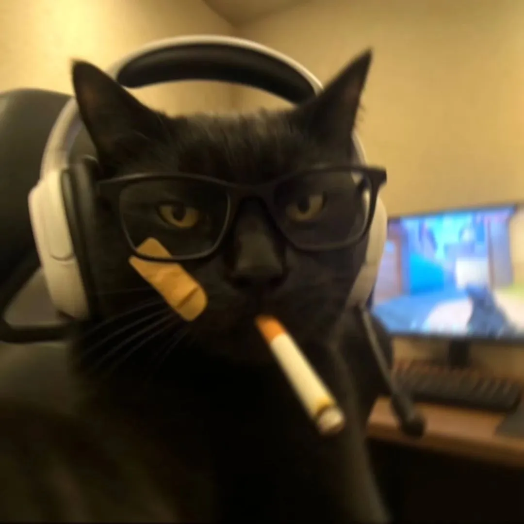 情头｜电竞小猫头像