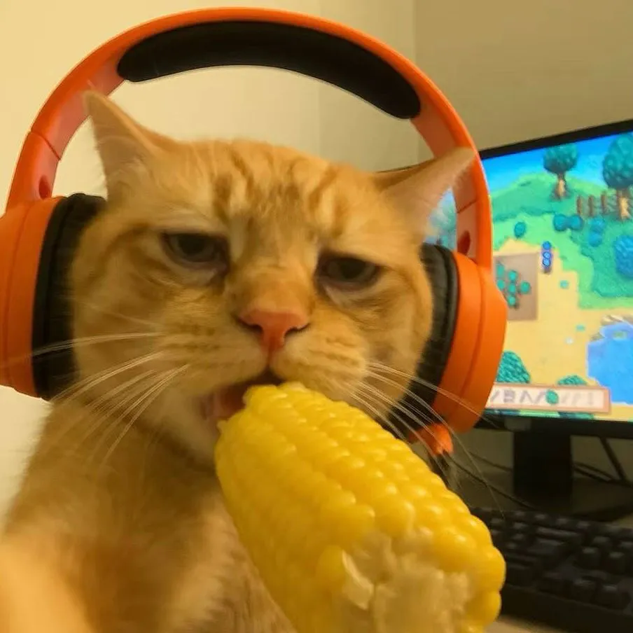 情头｜电竞小猫头像