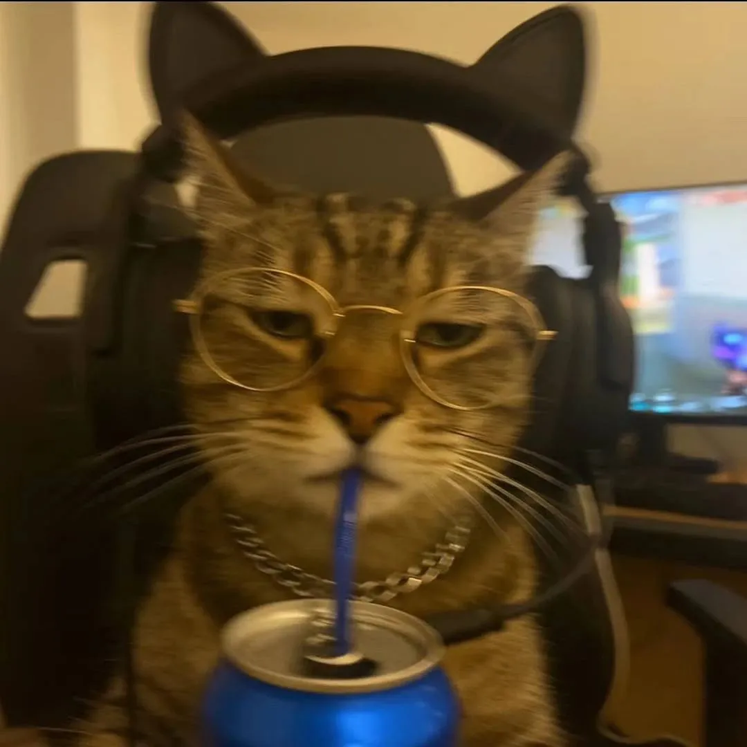 情头｜电竞小猫头像